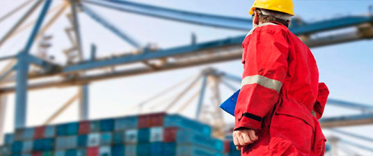logistica